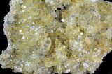 Plate Of Gemmy, Chisel Tipped Barite Crystals - Mexico #78137-1
